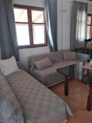 Ases Villa Lagonisi Halkidiki 奥马斯帕纳吉亚斯 外观 照片