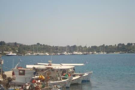 Ases Villa Lagonisi Halkidiki 奥马斯帕纳吉亚斯 外观 照片